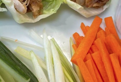 Shredded Chicken With Hoisin Sauce recipe by Turning Point Wellness